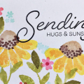 Sending Hugs & Sunshine Card
