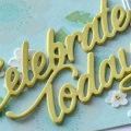 Celebrate Today Color Pop - Subtle, Detail #1