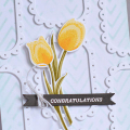 Tulip Congratulations