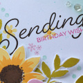 Sending Birthday Wishes, Detail