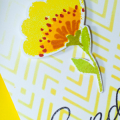 Supplies

*All supplies are available at Papertrey Ink, unless otherwise noted.

Stamps: Painted Petals

Ink: True Black, Limeade Ice, Summer Sunrise, Bright Buttercup, Simply Chartreuse,...