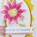 A Note of Thanks Card