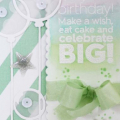 Big Birthday Wishes Card