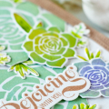 succulents-dtl