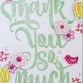 Thank You So Much Card