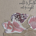 Walk By Faith Shells Card