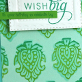 Wish Big