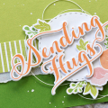 Sending Hugs Detail