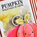 Pumpkin Weather detail