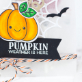 Supplies

*all supplies are available at Papertrey Ink unless otherwise noted

Stamps: Spooky Smiles

Ink: Copic markers, Versamark

Paper: White, True Black, Classic Kraft

Dies: Spooky...