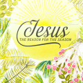 Supplies

*all supplies are available at Papertrey Ink unless otherwise noted

Stamps: Inspired: Jesus, Shine, Spruce & Sprigs

Ink: Limeade Ice, Ripe Avocado, Pinefeather, Simply...