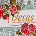 Jesus-Reason
