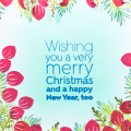 Supplies

Stamps: Ombre Sentiments, Holiday Greens: Borders
Ink: Aqua Mist, Enchanted Evening, Pinefeather, Olive Twist, Simply Chartreuse, Pure Poppy, Classic Kraft
Dies: Holiday Greens:...