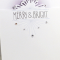Merry & Bright Splits Card