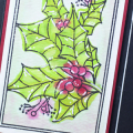 Supplies

*all supplies are available at Papertrey Ink unless otherwise noted

Stamps: Botanical Blocks IV

Ink: Pure Poppy, Limeade Ice, New Leaf, Soft Stone, Versamark

Paper: Pure...