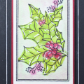 Supplies

*all supplies are available at Papertrey Ink unless otherwise noted

Stamps: Botanical Blocks IV

Ink: Pure Poppy, Limeade Ice, New Leaf, Soft Stone, Versamark

Paper: Pure...