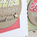 Happy Birthday Special Day Card + Happy Birthday Wish Big Tag & Gift Bag - detail