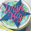 Wish Big Pint Container Lid