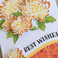 Best Wishes