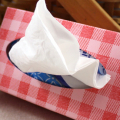 Mini Gingham Tissue Box