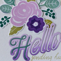 Hello-purple