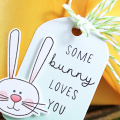 Some Bunny Carrot Box Top