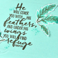 He Will Cover You