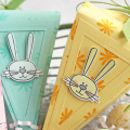 Sweet Carrot Treat (detail 2) Boxes