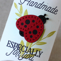 Ladybug Brooch Gift Box