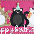 Happy Birthday Cat Party Card