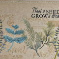 Plant a Seed Card