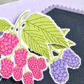 Berries-todayissweet detail