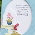 Blooming Orchids Card
