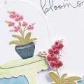 Blooming Orchids Card 3