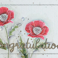 Congratulations Card