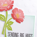 Sending Big Hugs Card