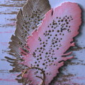 Donna's Designs - Tickled Pink Feathers