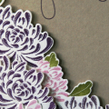 Donna's Designs - Mums on Kraft