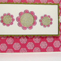 Raspberry Fizz cardstock and ink
Ripe Avocado cardstock and ink
Fresh Snow ribbon, ink and cardstock
Background Basics Stars, Mixed Messages and Floral Fenzy stamp sets
Nestabilities Long...