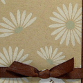 Floral Frenzy, Polka Dot Basics and Little Lady stamp sets
Dark Choclate Ribbon, cardstock and ink
Fresh Snow ink
Aqua Mist ink and cardstock
Kraft cardstock
