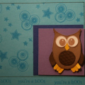 wise owl upload xbday