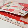 Stamps: PTI Merry & Bright, Snowfall
Ink: PTI Pure Poppy, Dark Chocolate, Berry Sorbet, Sweet Blush, Versamark
Paper: PTI Pure Poppy, Stampers Select White, Sweet Blush
Other: Nestabilities...