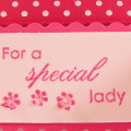 Detail of Raspberry Fizz birthday Card