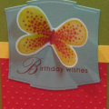 Birthday Wishes in Vellum