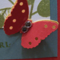 Over the Rainbow Challenge Close-up