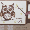 Hoot of a Birthday