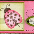Little Ladybug