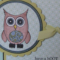 Owl Birthday