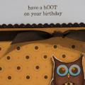 Have a Hoot of a Birthday
