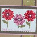 I didn't get a chance to play the PTI connect the dot sketch challenge, so I used the sketch design to make this card.  I used Garden of Life set, PTI kraft and vintage cream card stock and...